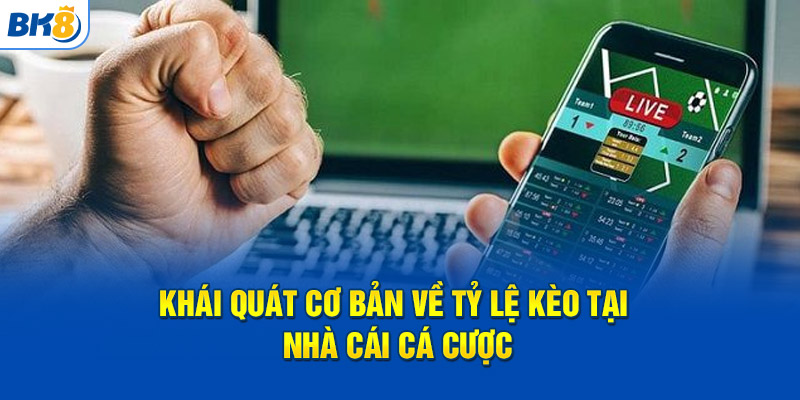 Khái quát cơ bản về tỷ lệ kèo tại nhà cái cá cược