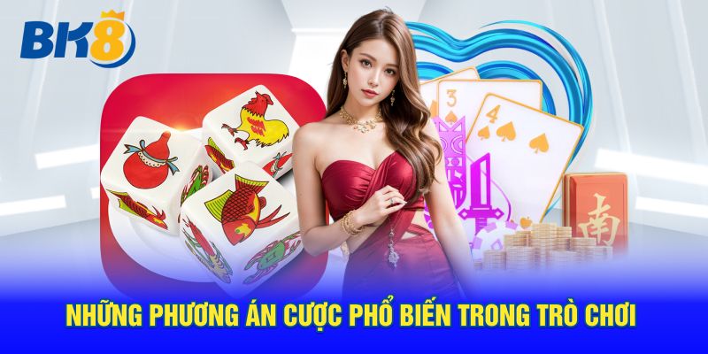 Những phương án cược phổ biến trong trò chơi